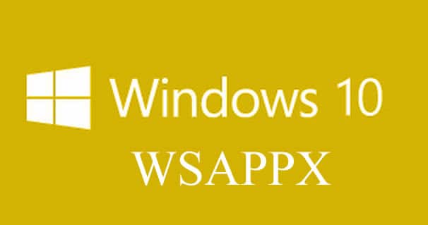 Wsappx : Pilote de gestion des mises à jour de Windows